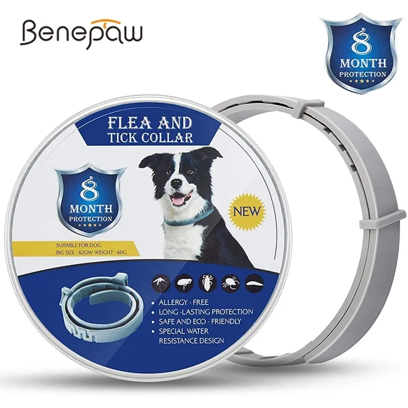 Benepaw Effective 8 Month Protection Dog Flea Collar Adjustable