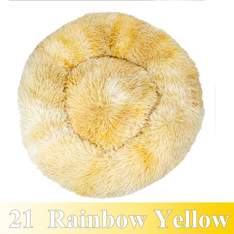 21 rainbow yellow