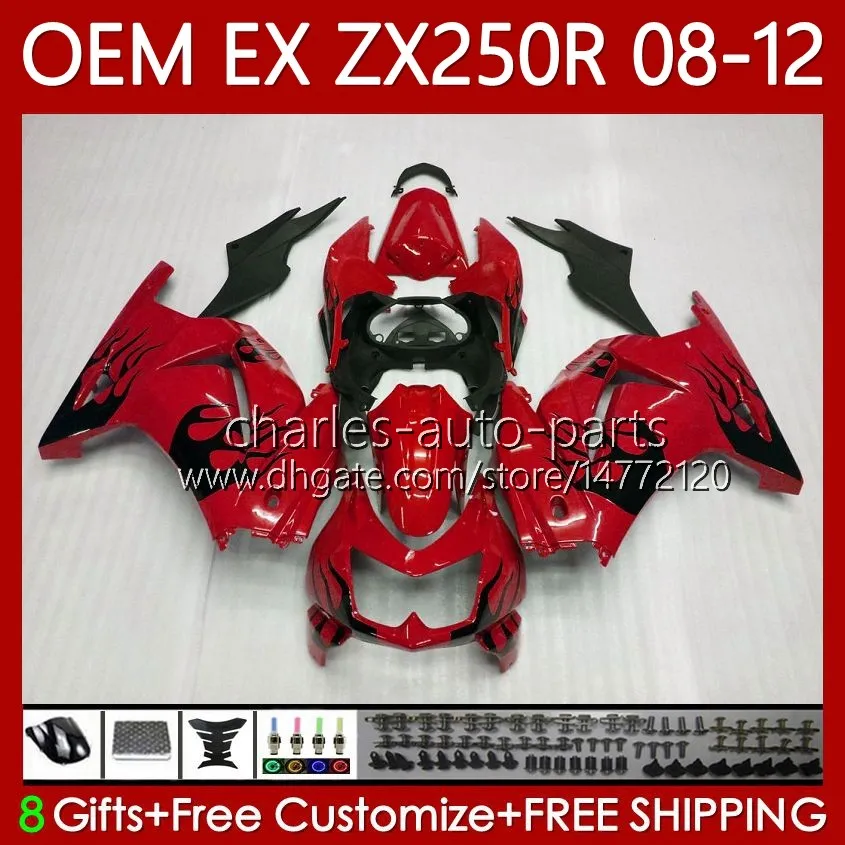 0x0様 OEM Injection Fairing In Red Flames And Black For From Charles