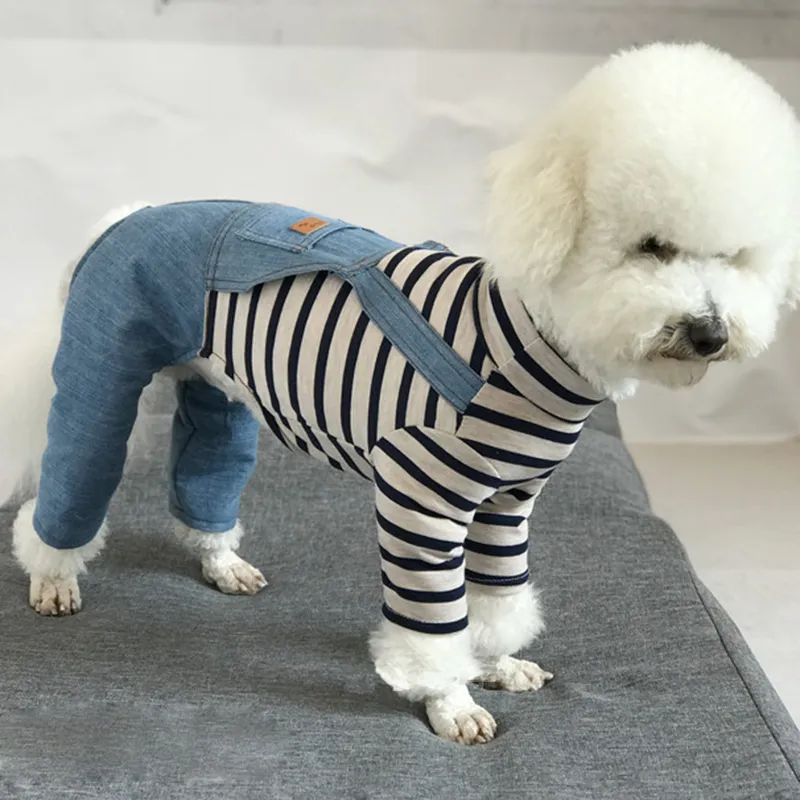 Husdjur hund jumpsuit tunna falska tvådelade kostymer bib jeans + sticka topp valp kläder långärmad pyjamas för små hundar chihuahua t200710