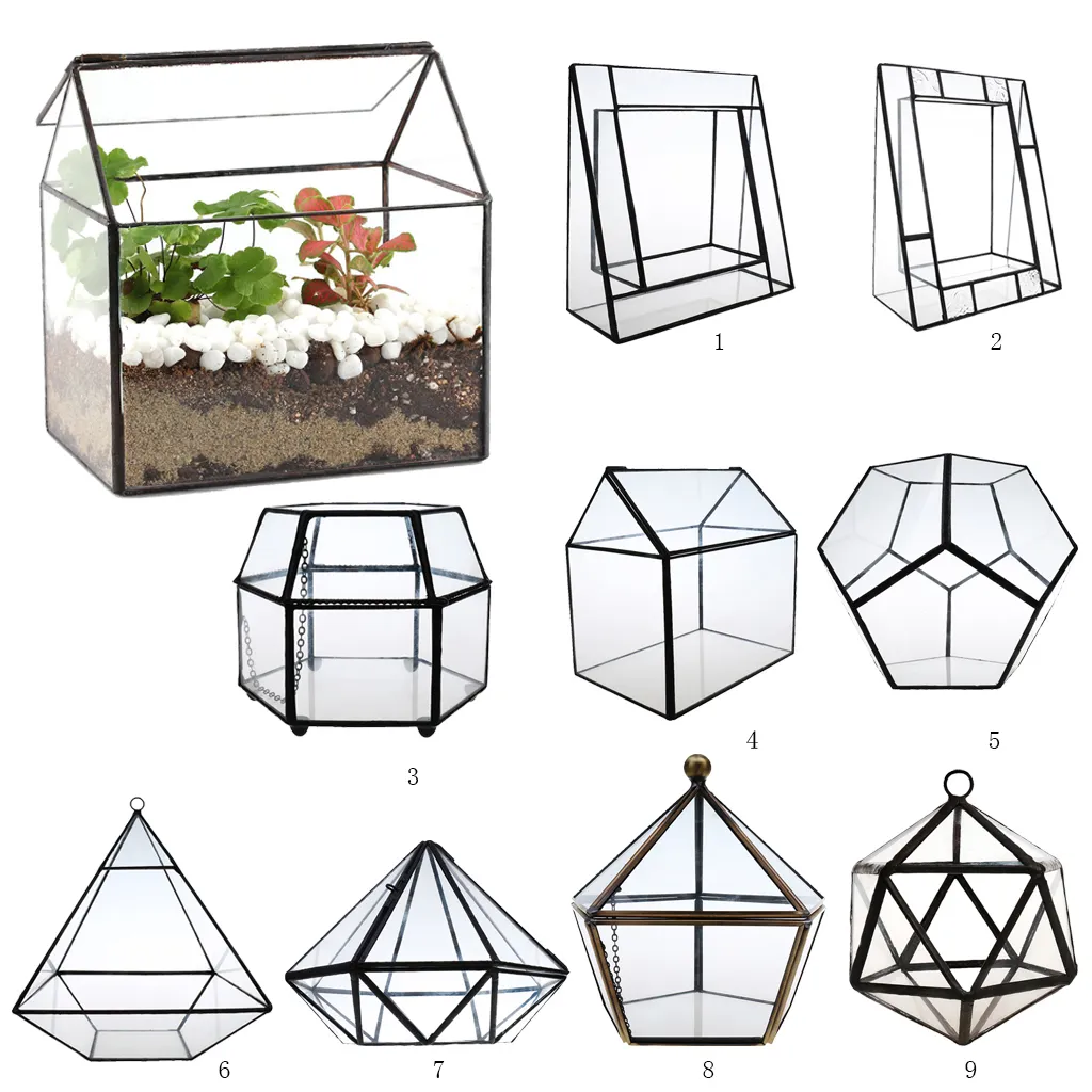 Nieregularne szkło Geometryczne skrzynka Terrarium Tabletop Soczyste Powietrze Fern Moss Pot Sadzarka Y200709