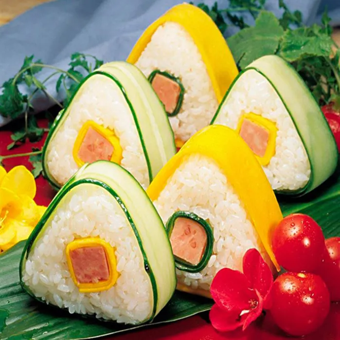 Moule pour nigiri sushi - La Boutique du Japon