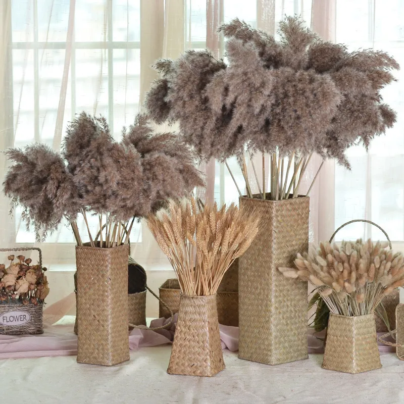 Natural-Dried-Pampas-Grass-Phragmites-Communis-for-Wedding-Artificial-Flower-Bunch-Home-Decor-DIY-Craft-dry (1)