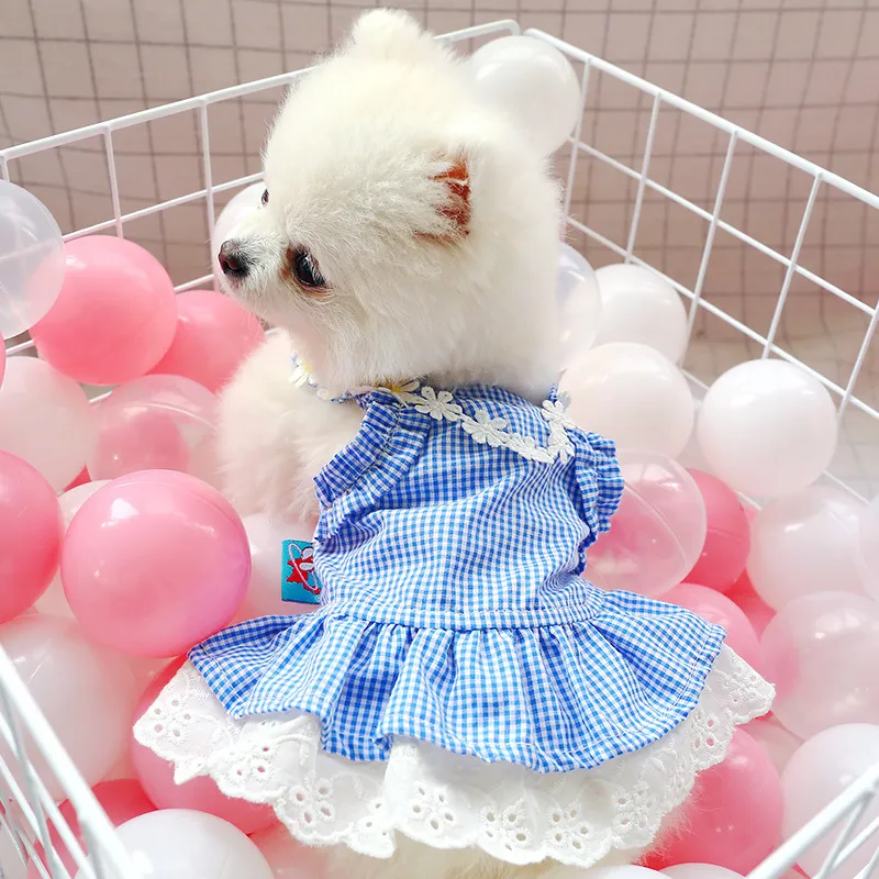 blue dog dress Parisian Pet Gingham Countryside Lace Dog Dress - Blue main image 0