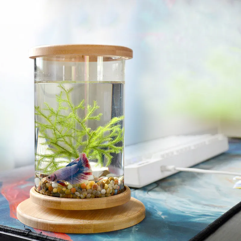 Glass Betta Fish Aquarium Tank With Bamboo Base Mini Rotating Fish Aquarium  Bowl For Aquarium Decoration Y200331T From Lucy0, $32.09