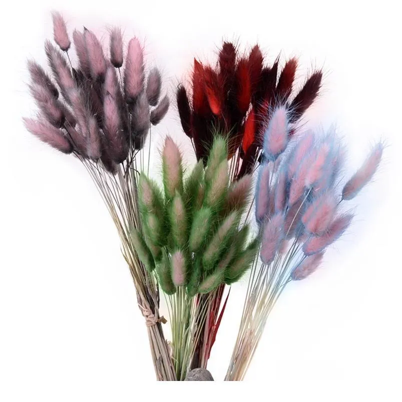 30pcs Gradient Lagurus Ovatus Natural Dried Flowers Bouquet Diy Wedding Home Christmas Decoration Rabbit Tail Grass Real