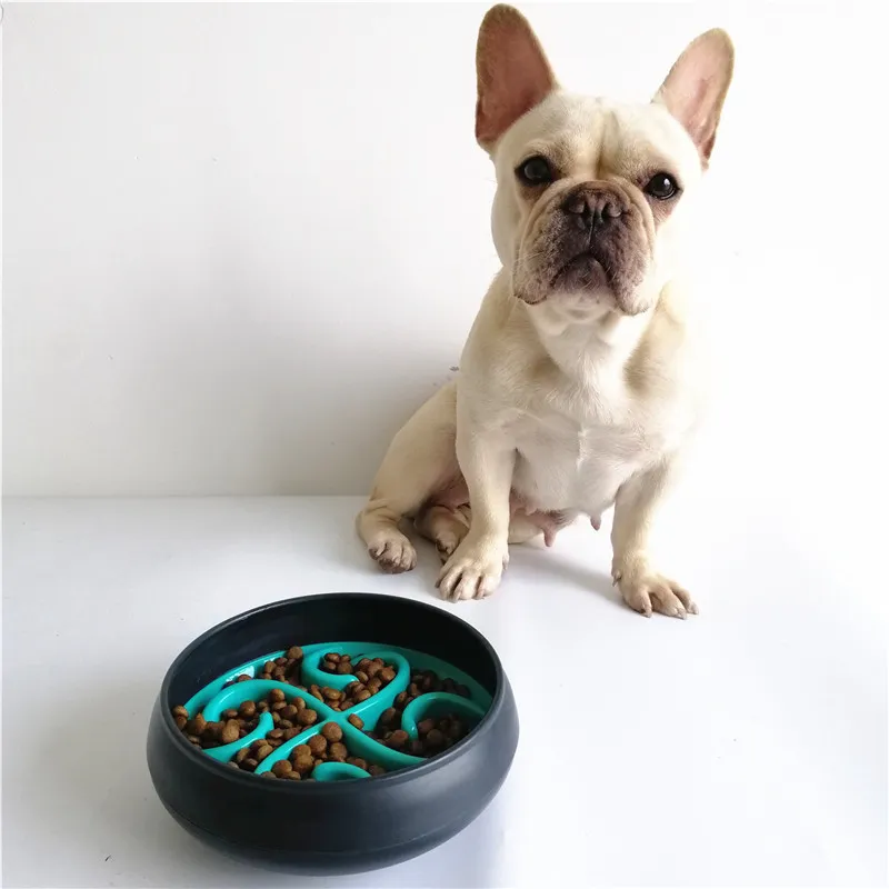 dog bowls slow feeder (28)