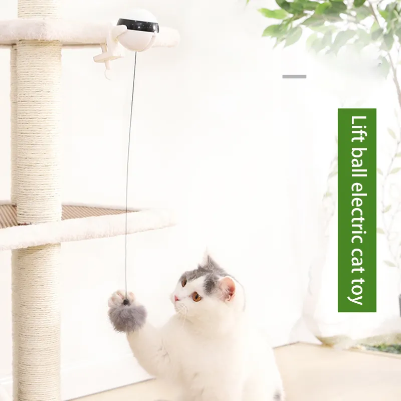 Cat toys argos shop
