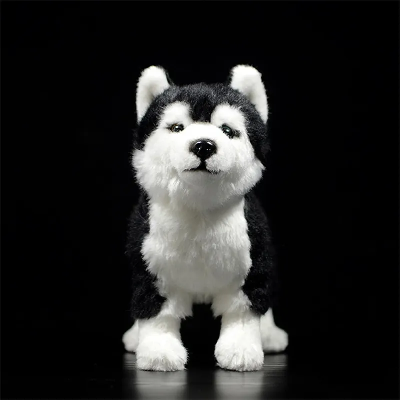 Alaskan husky stuffed animal deals
