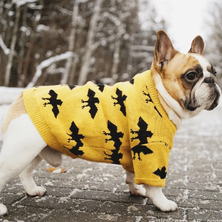 Costume da compagnia abbigliamento marea pipistrello autunno e inverno caldo filato filato pullover carino fadoubago vestiti per cani maglione per animali domestici