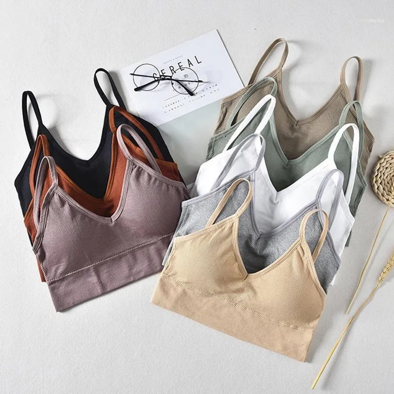 Gym Kleding Simple Mode Sport Push Up BH Effen Yoga Top Sexy Naadloze BRALETTE Borst Tops Wire Free Brassière Dames Ademend Lingerie
