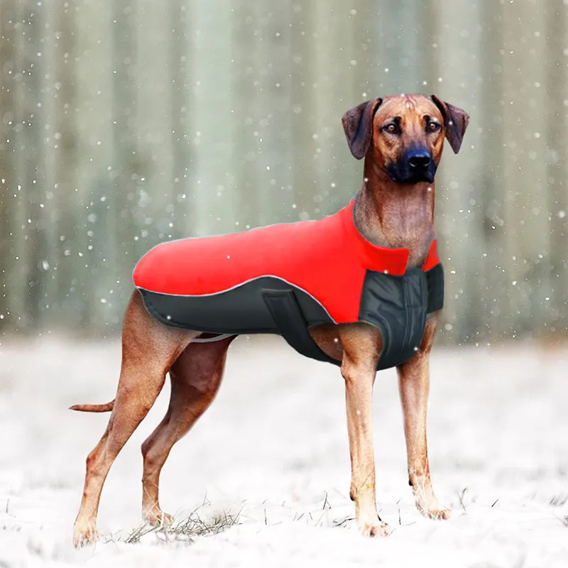 MySudui Small Big Dog Clothes Winter Waterproof Chihuahua Bulldog Fashion Dog Cloth Clothing For Dog Winter Coat Warm Ropa Perro (12)