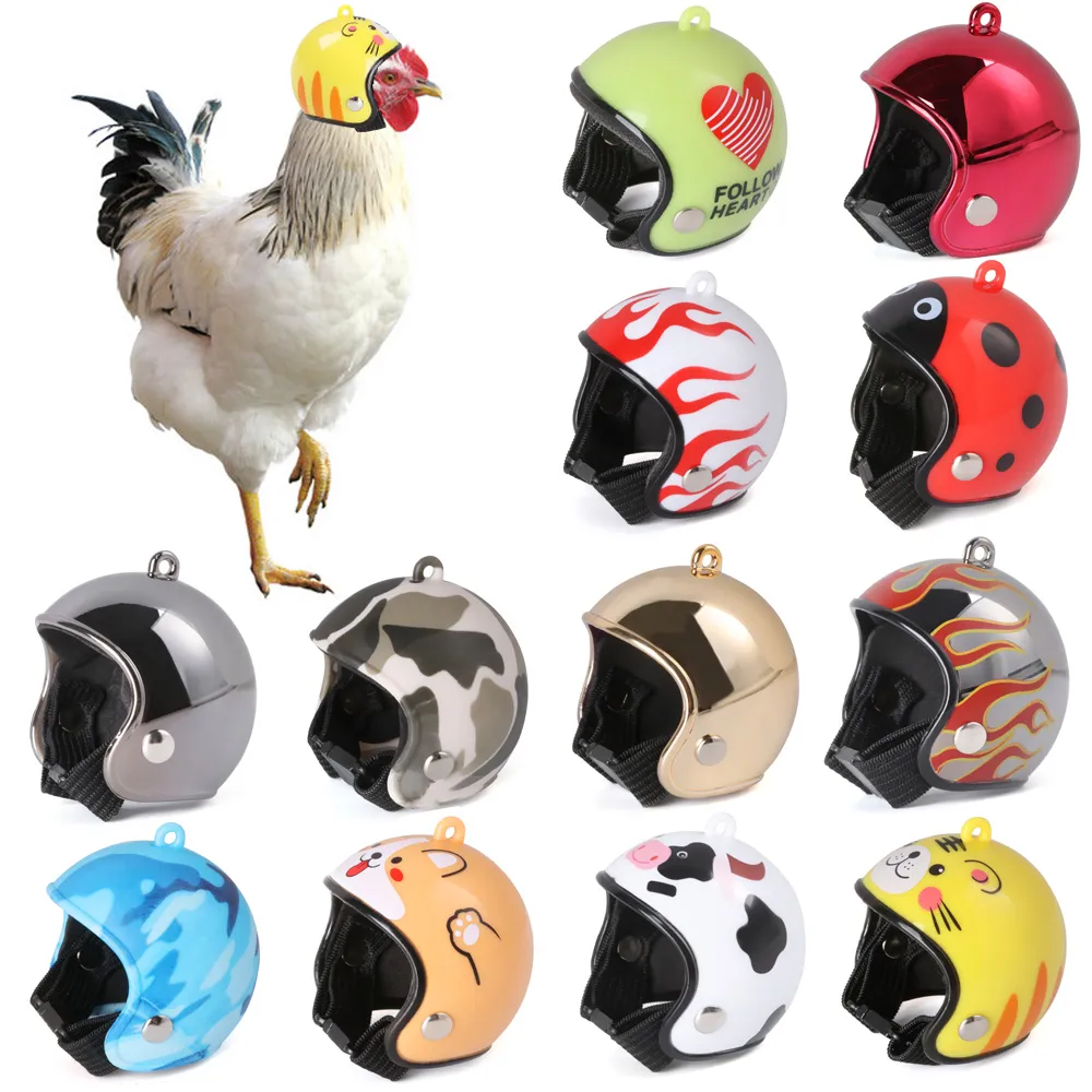 Capacete de galinha Capinho de prote￧￣o Pet Protective Sun Rain Protection Helmet Bird Bird Birc
