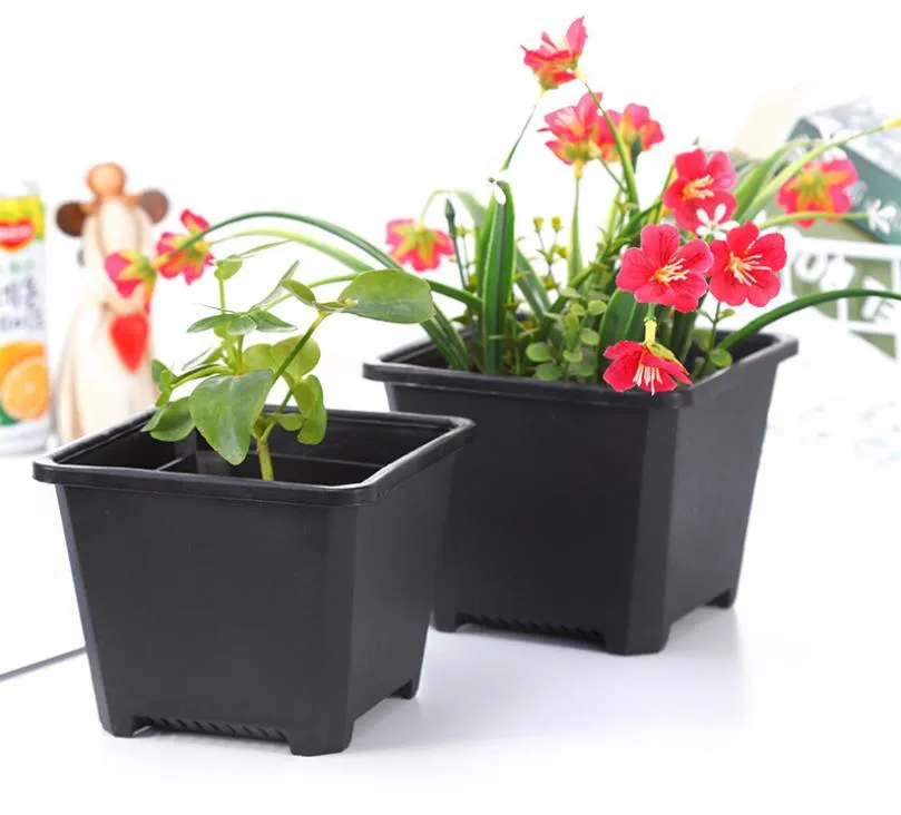 6 Vasi Quadrati In Plastica Per Piante Con Vassoio - Fori Drenanti - Ideali Per Bonsai, Succulente E Cactus