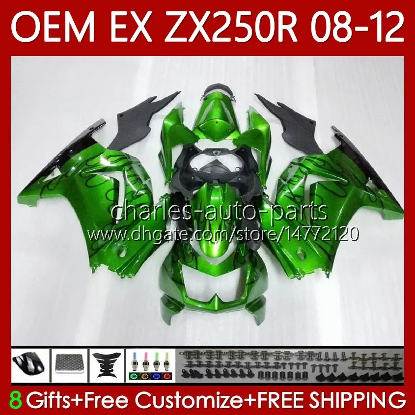 Kawasaki Ninja Ex250 ZX250 RE ZX 250R ZX-250R 2008年250 ZX250R 2008 2009 2011 2012 EX250R 08 09 10 11 12注入フェアリングメタルグリーン