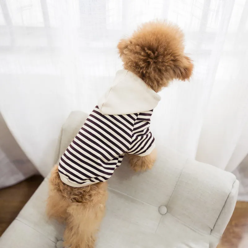 Teddy Bulldog Schnauzer Schnauzer Dog Sweaters Fashion Hoodies de chien imprimé Automne hiver Vêtements de compagnie en plein air S-XXL