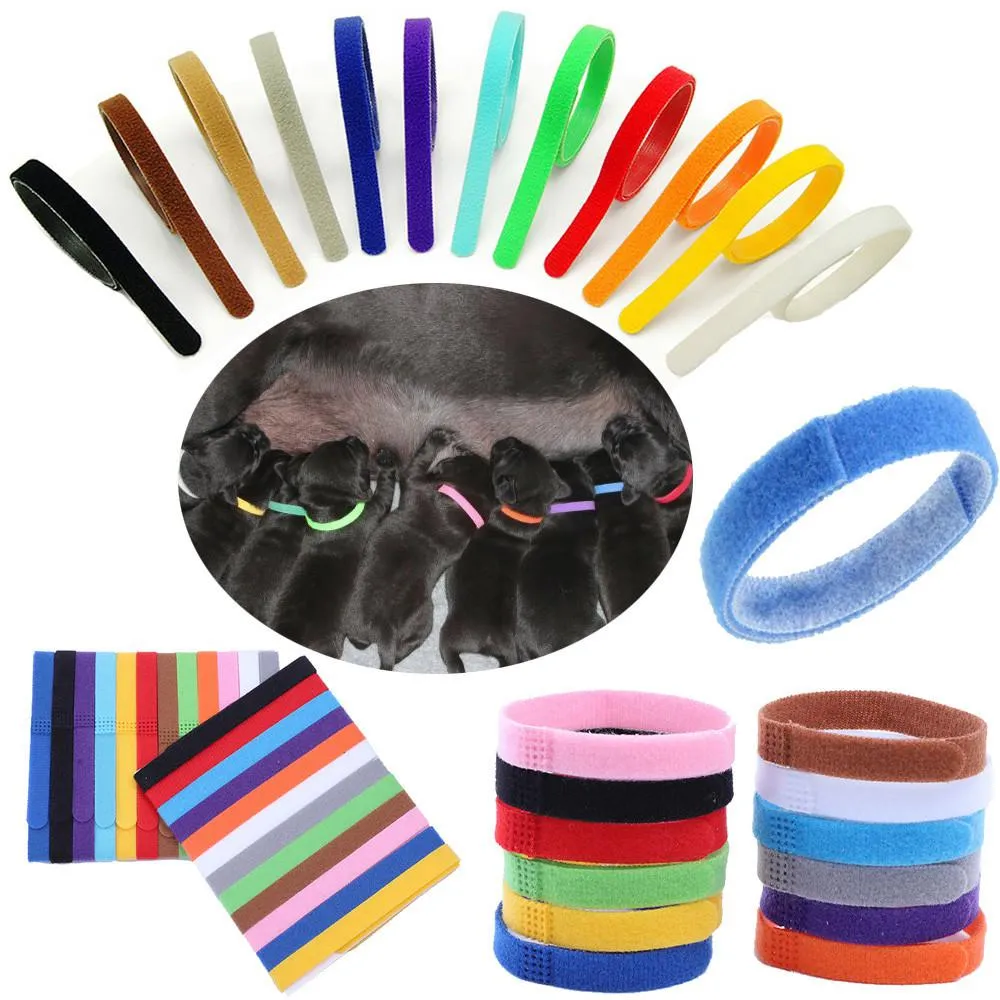 2021 Welpen -ID -Kragen -Identifikations -ID -Kragen Band für Whelp Welpen Kätzchen Hund Pet Cat Velvet Praktische 12 Farben