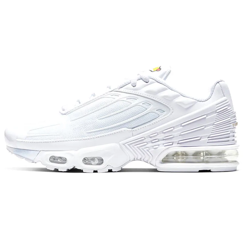 Tn 3 blanche deals
