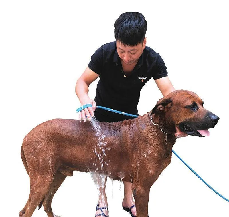 pet bath shower water sprayer pets supplies bathing cleaner tools cleaning massage scrubber sprayer hand massage pet comb dbc bh2993