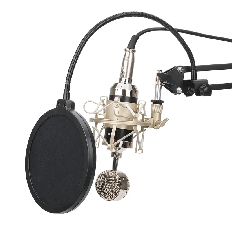 BM8000 karaoke microphone studio condenser mikrofon KTV BM 8000 mic For Radio Braodcasting Singing Recording computer