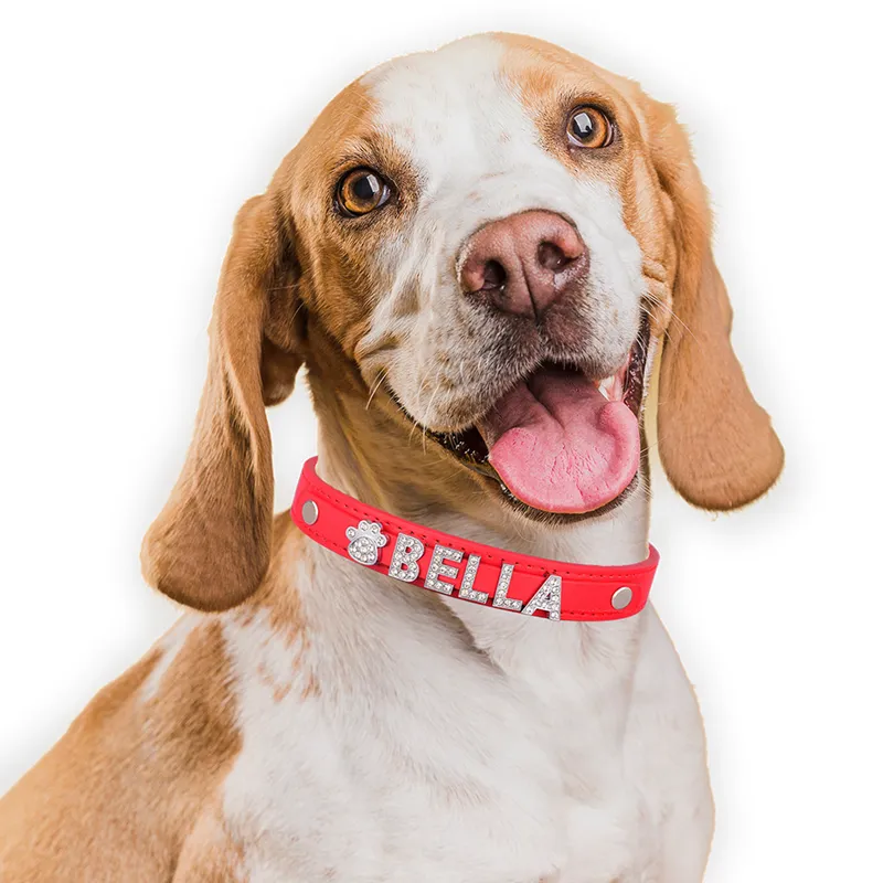 Collares Personalizados Para Perros Con Identificación – Mercadito Digital