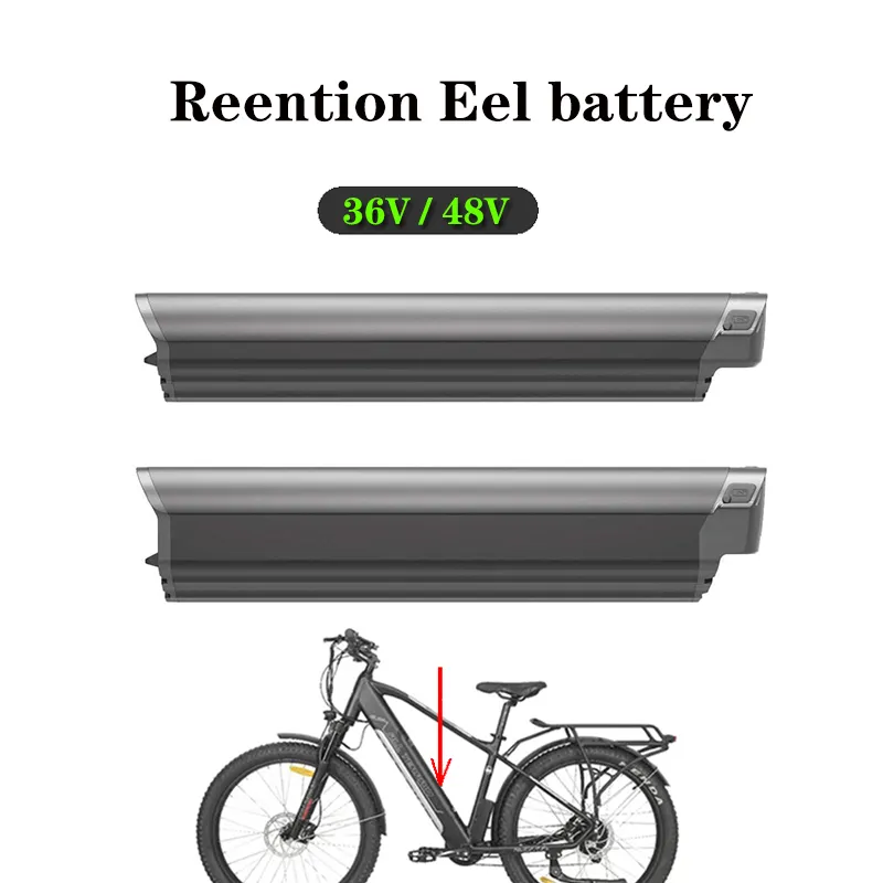 magnum electric bike battery