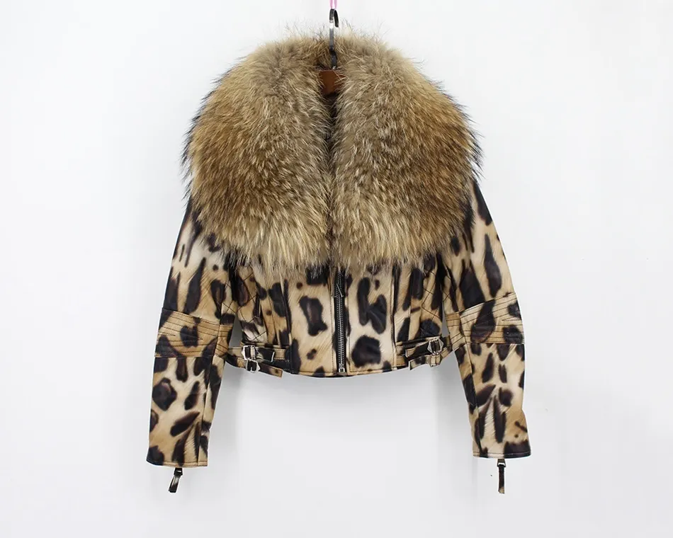 natural sheep leather jacket big fur collar leopard color (2)