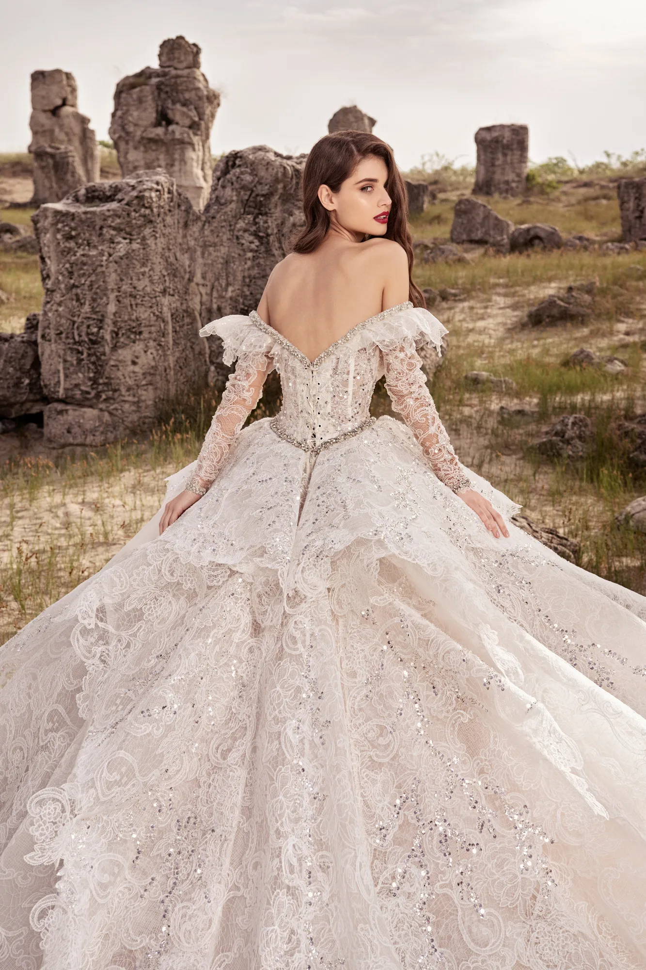 Crystal Beading Wedding Dresses Long Sleeve Lace Appliqued Outdoor Bridal Dress Ball Gown Country Wedding Vestidos De Novia