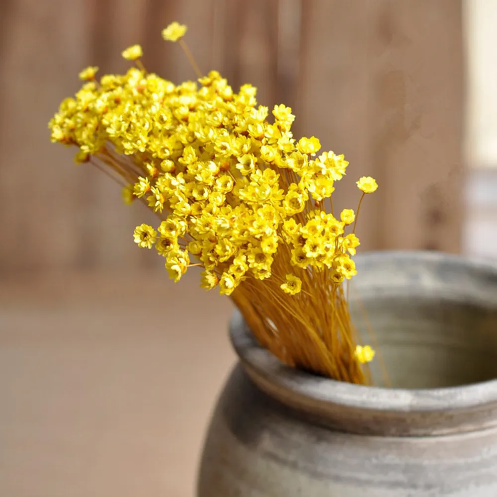 Decorative Dry Flower - Natural Decorative Items