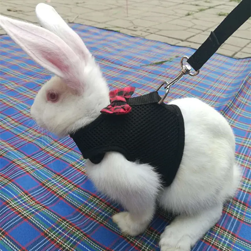 Rabbit rope small pet traction ropes leashes rabbits special vest chest strap rabbit