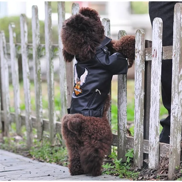 Leather online dog outfits