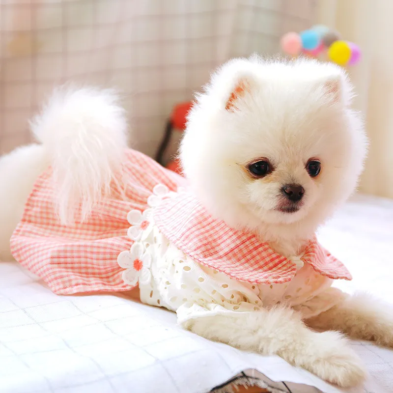 Dress Hollow Pink Plaid Spring Summer Pets Outfits Clothes For Small Party Dog Skirt Puppy Pet Costume LJ200923238W