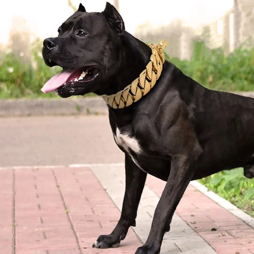 30mm silny metalowy obroże łańcuchowe dla psa ze stali nierdzewnej szkolenie zwierząt domowych kołnierz dla dużych psów Pitbull Bulldog Silver Gold Show Collar