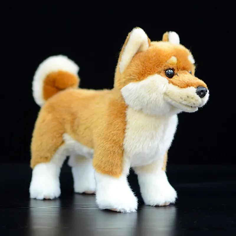 Realistico giapponese Shiba Inu peluche ripiene carino vita reale stand giallo morbido cane animali cucciolo modello simulazione regalo per bambini bambola 220217