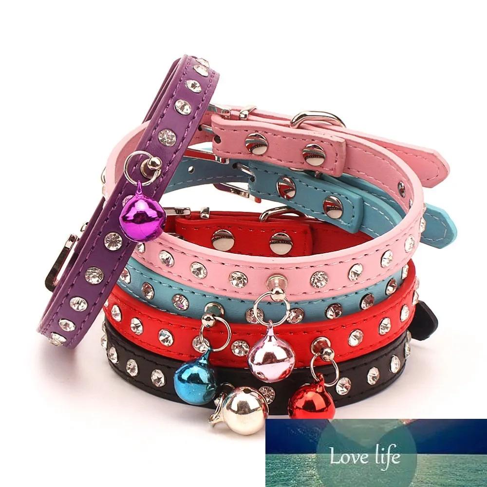 Pipi Fren Cats Collars with Bell, Kitten Necklace Accessories for Pets,  Small Dogs Collar, Collar Gato Personalizado from Dhgate Cat Collars -  price 5.36