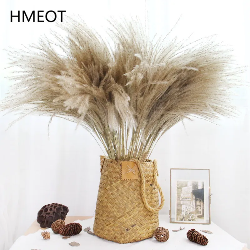 100 قطعة كبيرة الطبيعية المجففة زهرة pampas العشب الترتيب الزفاف diy باقة مجففة phragmites العشب تزيين النباتات القصب F1217