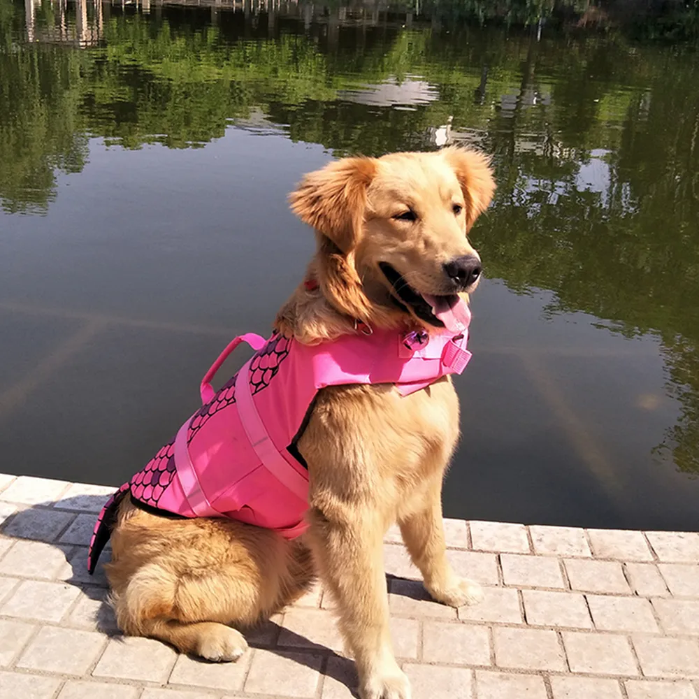 Giubbotto salvagente per cani Sirena Squalo Design Abbigliamento Giubbotto salvagente Collare Imbracatura Saver Pet Dog Nuoto Conservatore Costumi da bagno estivi Y200922194Y