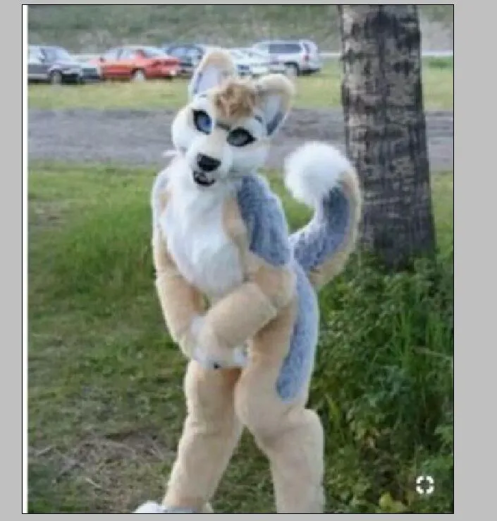 Husky fur deals for sale