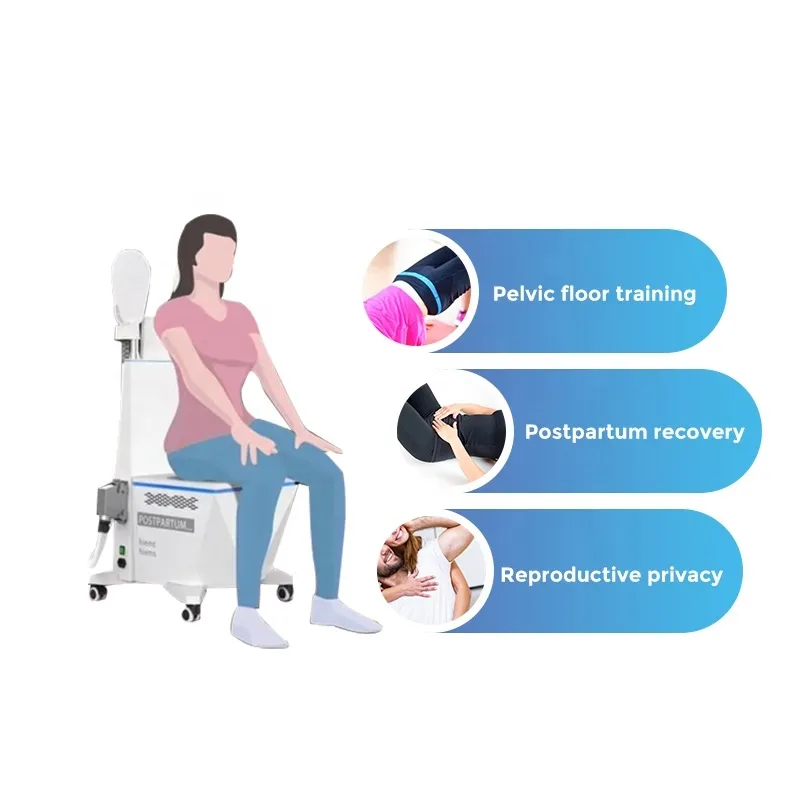 New Design Hi emt Ems Muscle Stimulation Strengthen Pelvic Floor Muscles Promote Postpartum Recovery Salon Machine