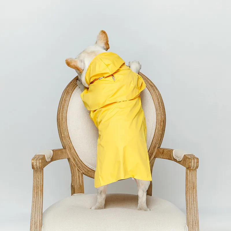 PVC vattentät fransk bulldogg regnrock husdjur hundkläder för små hundar husdjur kläder chihuahua hoodies yorkshire pug kostym y200324