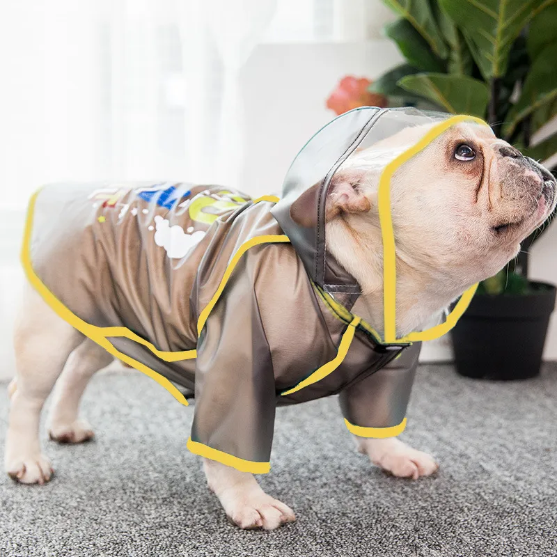English bulldog hot sale raincoat