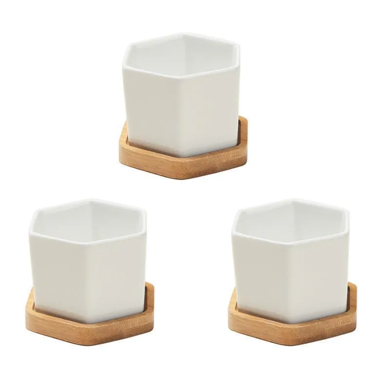 Set Of 3 Small White Ceramic Hexagonal Succulent Ceramic Container With ...