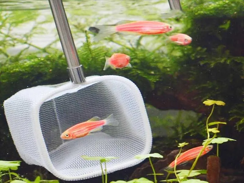 Flexible Best Toilet Cleaning Brush Aquarium Fish Tank Catch Net