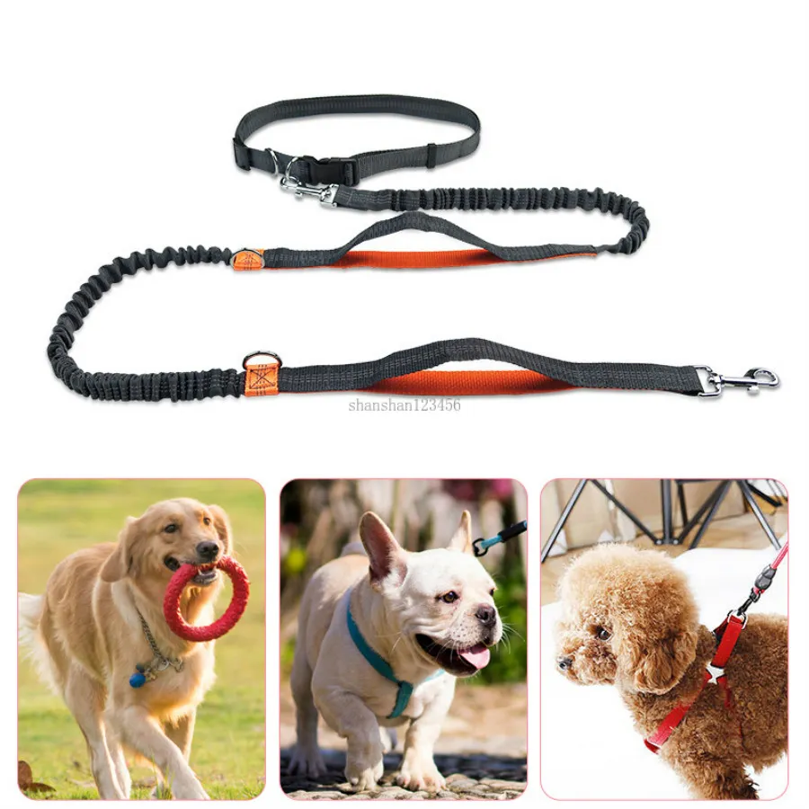 Laisses de chien extensibles reflètent la lumière en cours d'exécution ceinture de taille multifonction marche la chaîne de laisses de chien fournitures pour chiens de compagnie