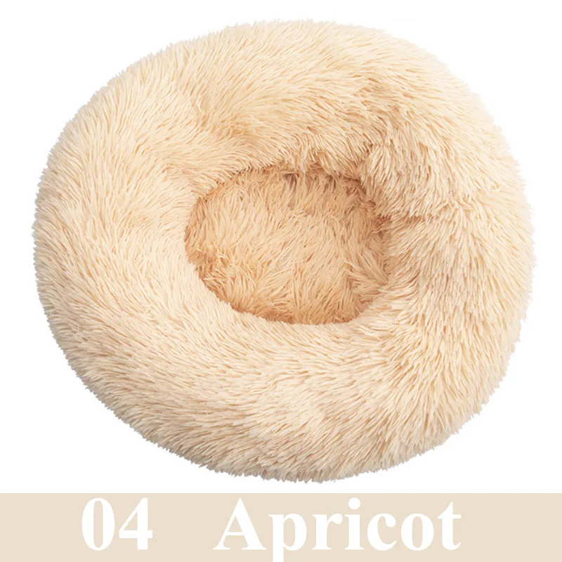 04 Apricot