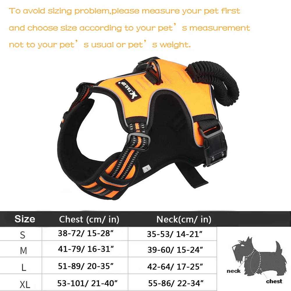 Tail up dog online harness