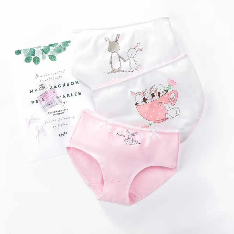 Young Girl Underpants Kids Boxers Girls Underwear 12 Year Old Children  Panties Cotton Cartoon Teenager Triangle Briefs Y0126 From 23,97 €