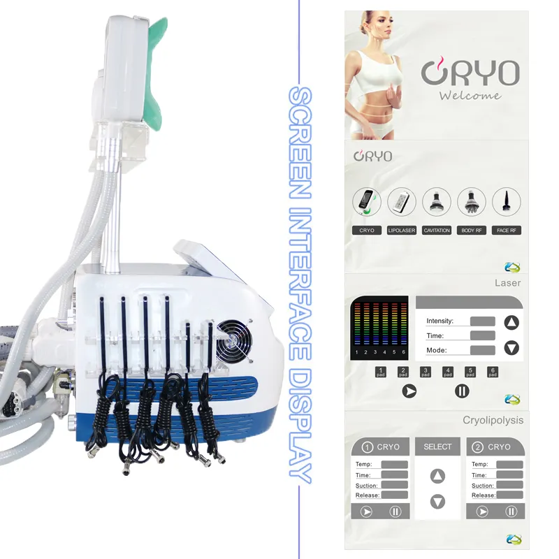 360 지방 냉동 지방 감소 셀룰 라이트 슬리밍 기계 Cavitation RF Tripolar 무선 주파수 7 1 Cryolipolysis 기계