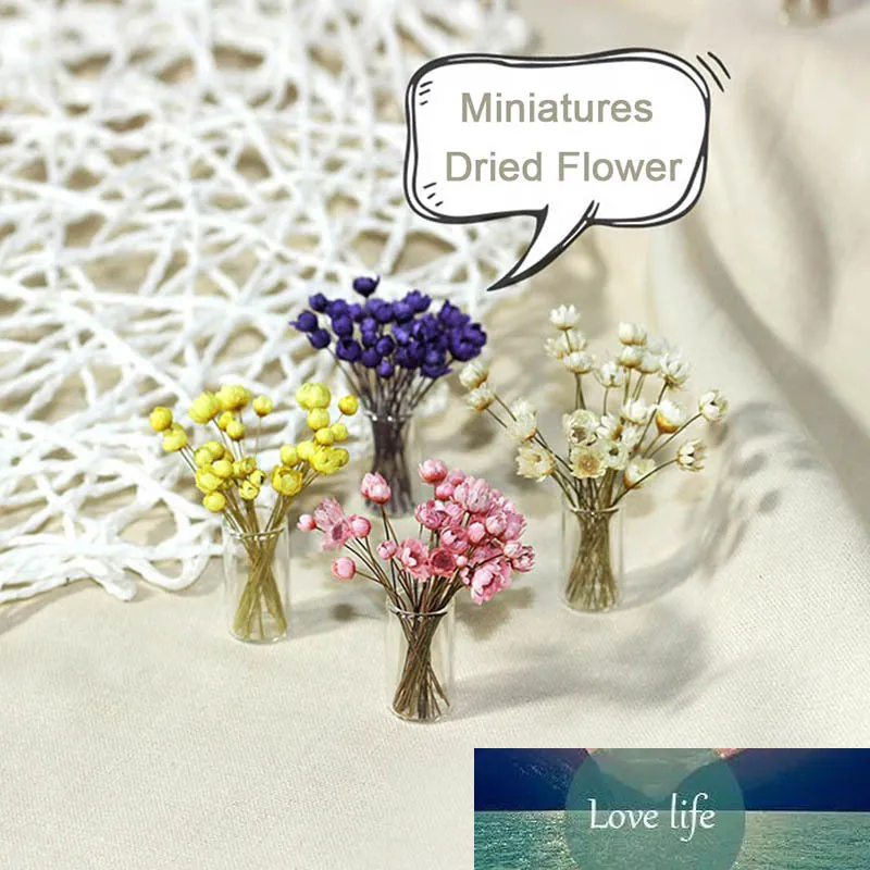14 pezzi di piante per case delle bambole Mini bonsai piante a foglia verde modelli di fiori decorazioni verdi finte regalo di Natale mobili per case delle bambole  26