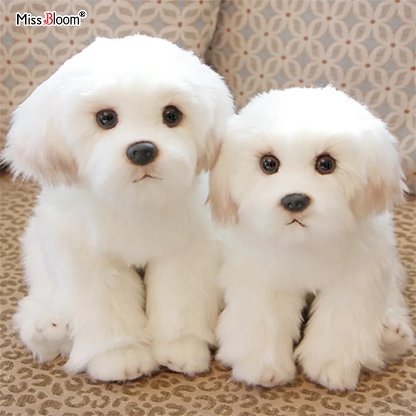 Maltese Stuffed Dog Plush Toy Cute Simulation Pets Fluffy Baby Dolls Birthday Gifts for Children Bichon Frise Puppy Drop 220222